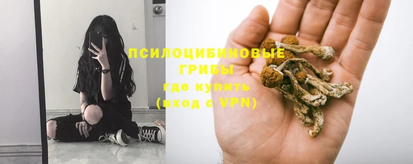PSILOCYBIN Богородск