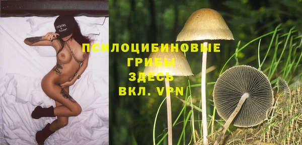 Альфа ПВП Богородицк
