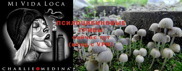 первитин Белокуриха