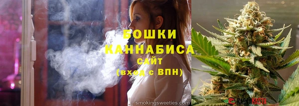 сатива Богданович