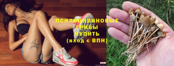 сатива Богданович