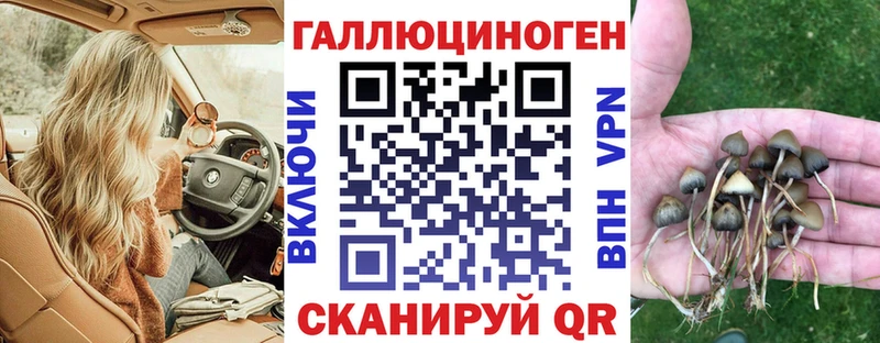Псилоцибиновые грибы ЛСД  как найти наркотики  Сретенск 